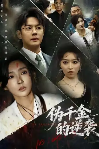 《伪千金的逆袭》封面