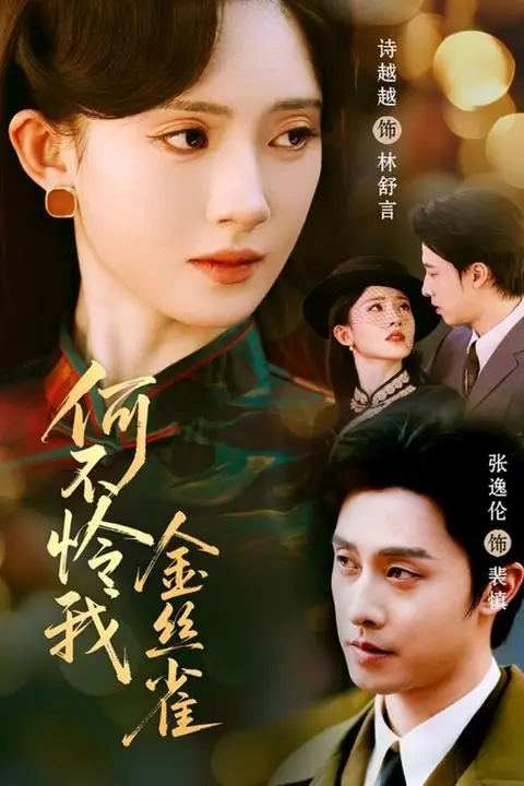 《何不怜我金丝雀》封面