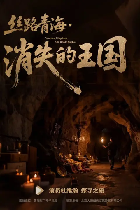 《丝路青海·消失的王国》封面