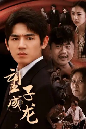 《望子成龙》封面