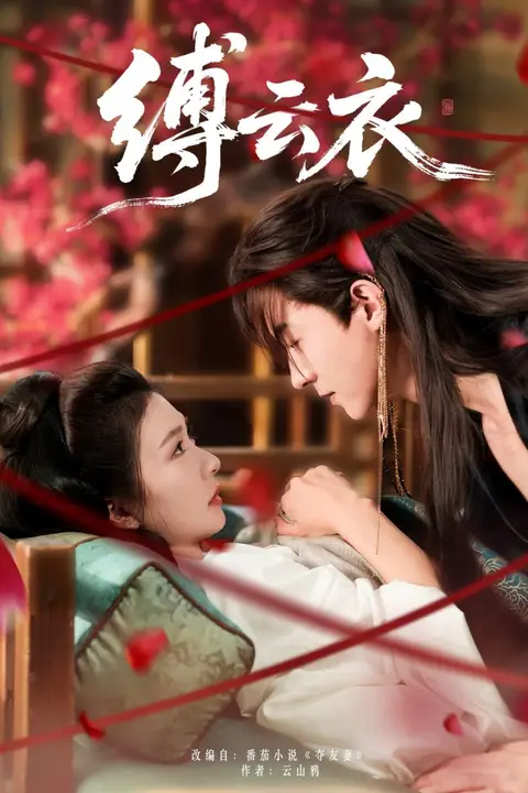 《缚云衣》封面