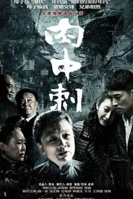 《独刺》封面