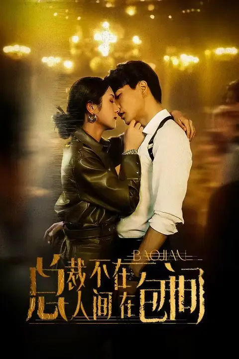 《总裁不在人间在包间》封面