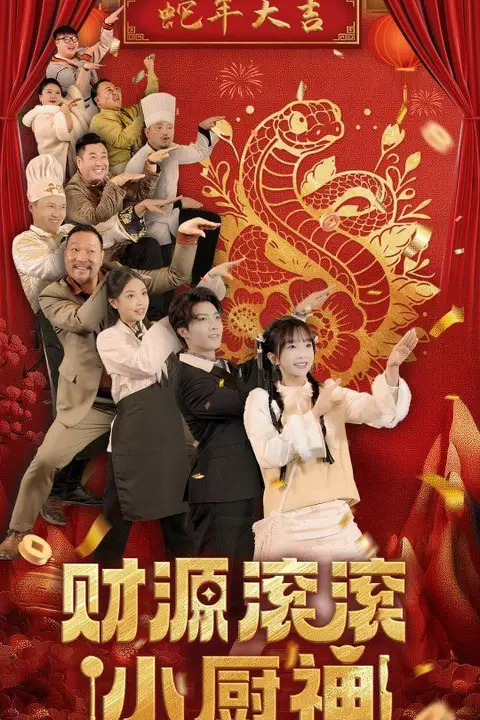 《财源滚滚小厨神》封面