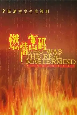《燃情密码》封面