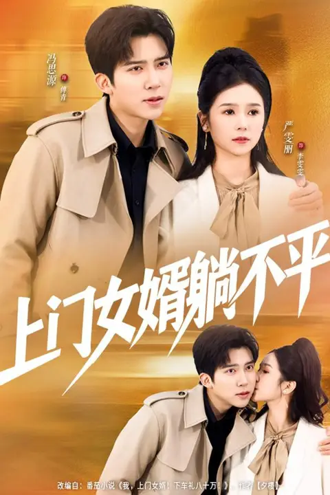 《上门女婿躺不平》封面