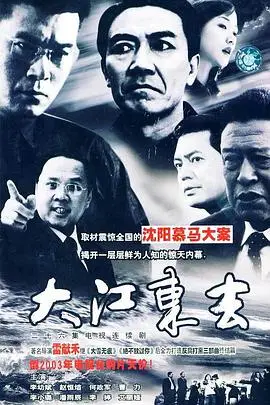 《大江东去》封面