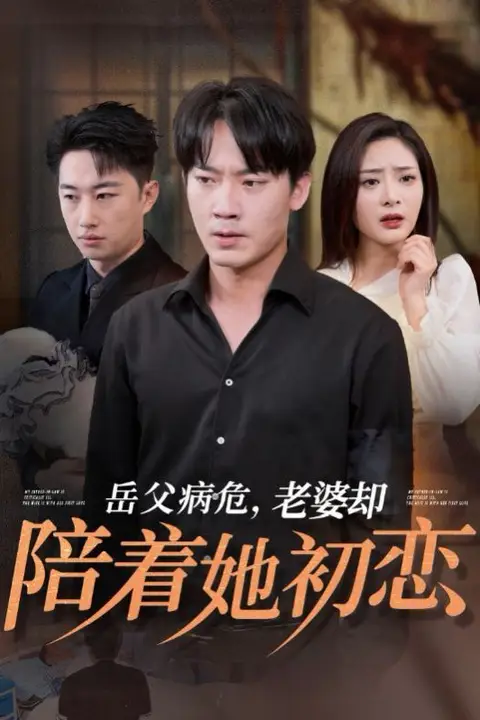 《岳父病危老婆却陪着她初恋》封面