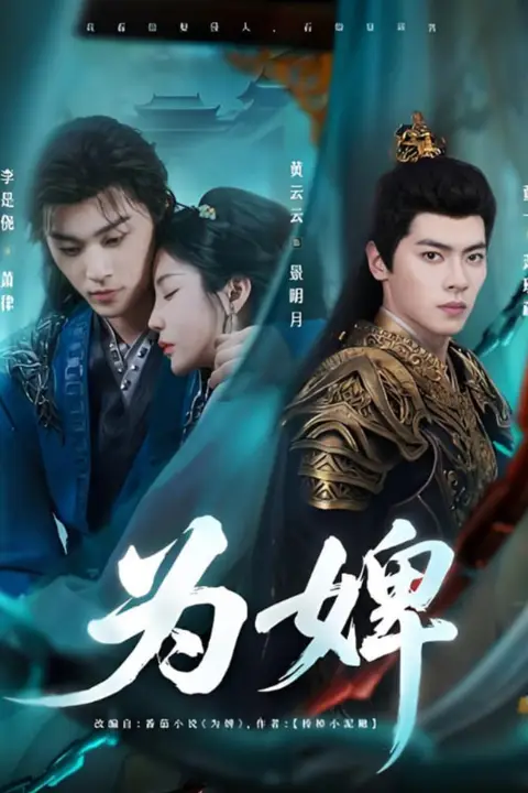 《为婢》封面