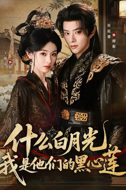 《什么白月光，我是他们的黑心莲》封面