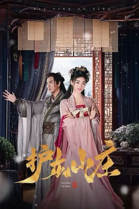 《护龙山庄》封面