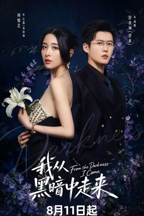 《我从黑暗中走来》封面