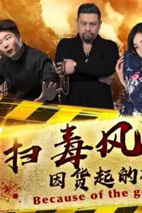 《扫毒风云之因货起的祸》封面
