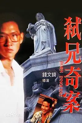 《弑兄奇案》封面