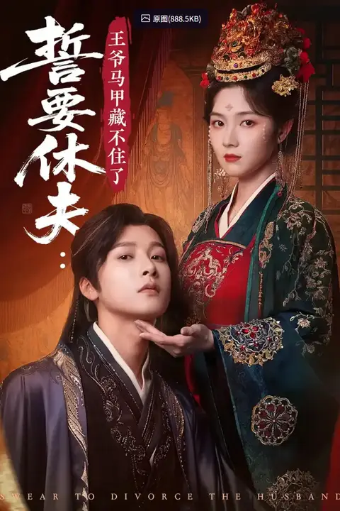 《誓要休夫王爷马甲藏不住了》封面