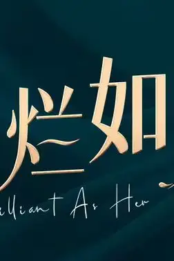 《灿烂如她》封面