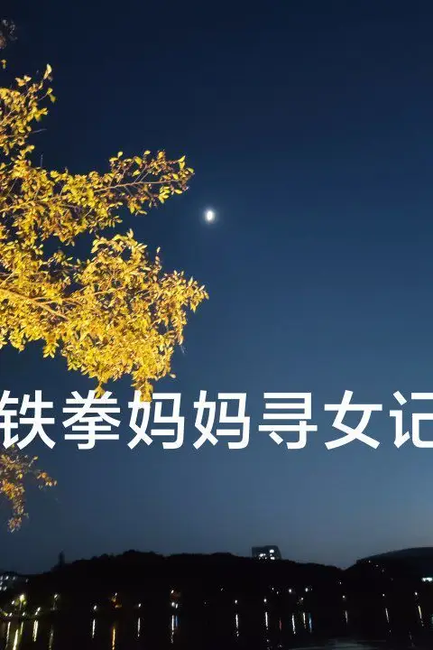 《铁拳妈妈寻女记》封面