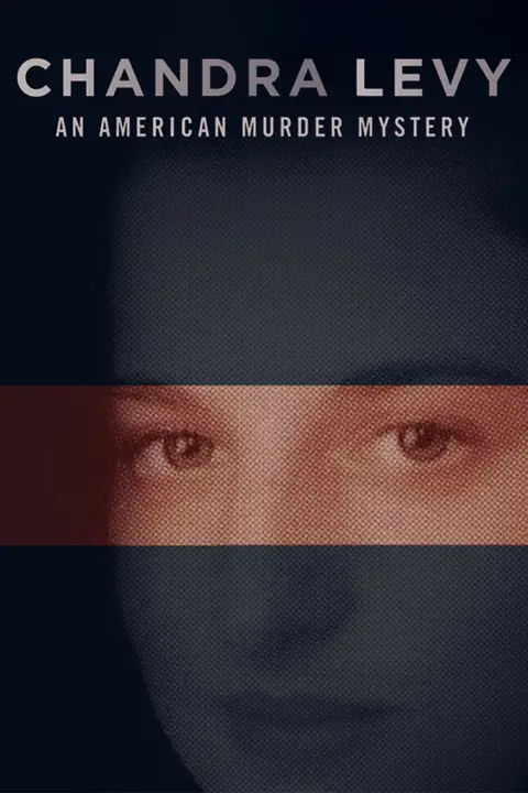 《钱德拉·利维: 美国谋杀案 第一季》封面
