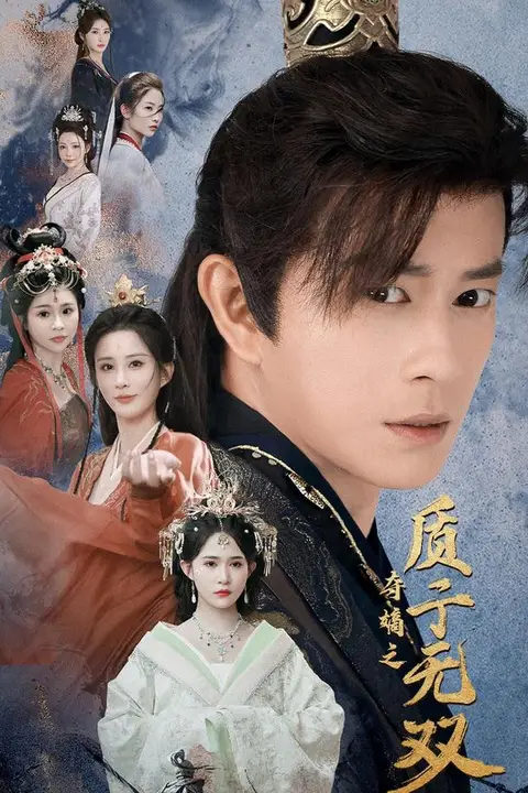 《夺嫡之质子无双》封面