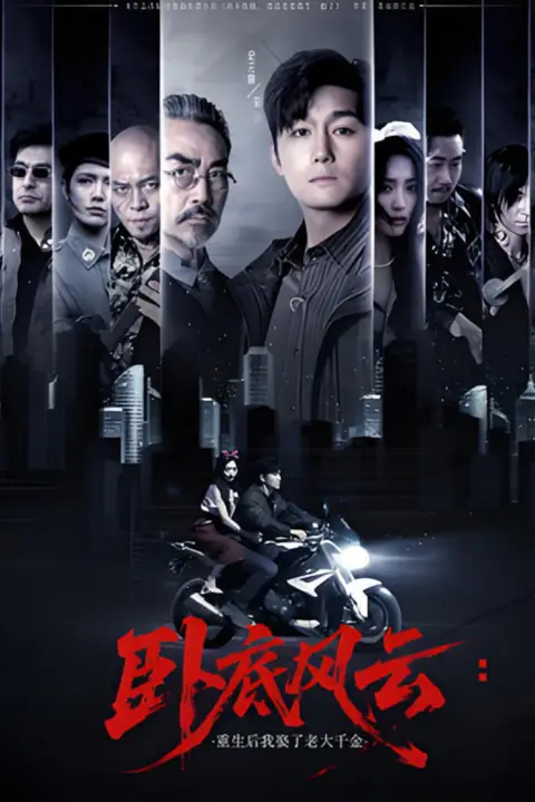 《卧底风云:重生后我娶了老大千金》封面
