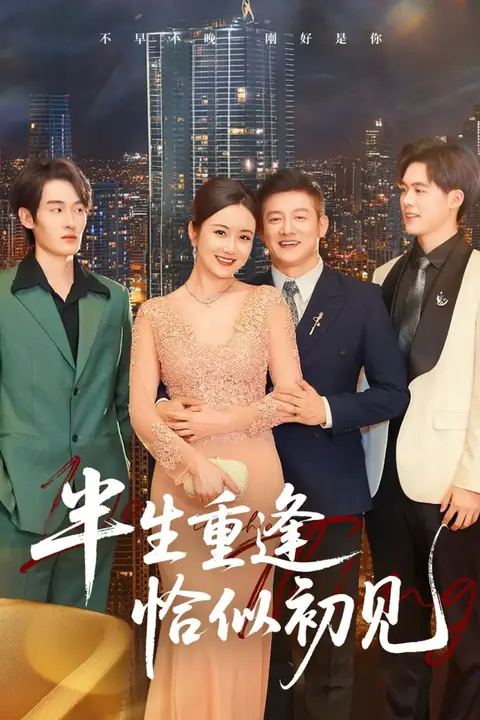 《半生重逢恰似初见》封面