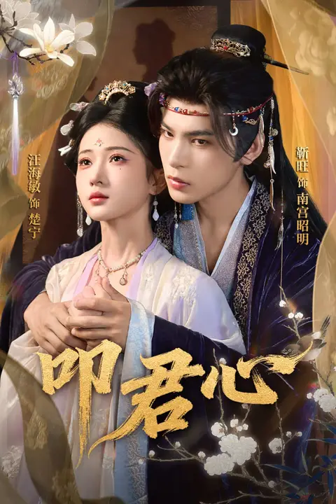 《叩君心》封面