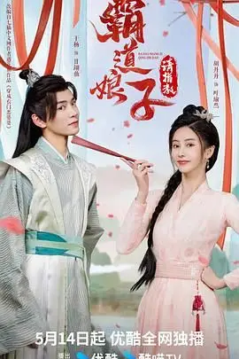 《霸道娘子请指教》封面