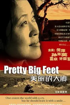 《美丽的大脚》封面