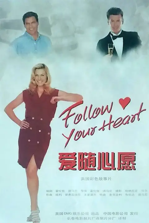《情随心生》封面