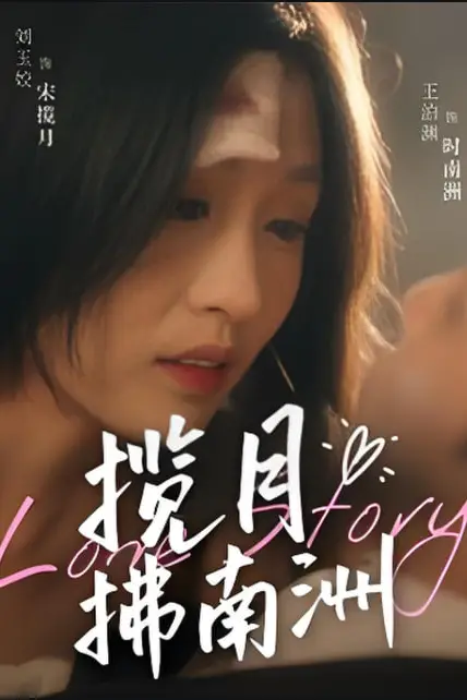 《揽月拂南洲》封面