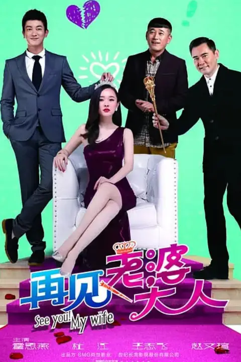 《再见,老婆大人》封面