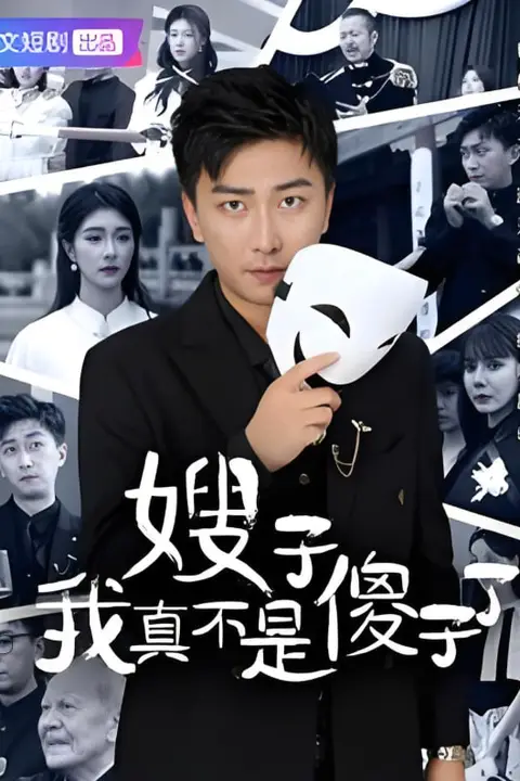 《嫂子我真不是傻子了》封面