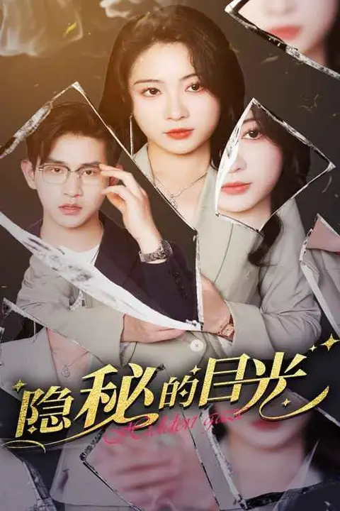 《隐秘的目光》封面