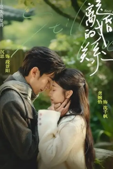 《是离婚的关系》封面