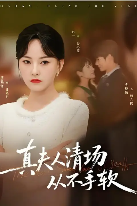 《真夫人清场从不手软》封面