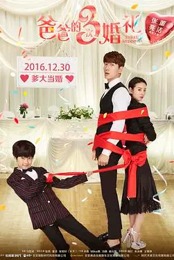 《爸爸的3次婚礼》封面