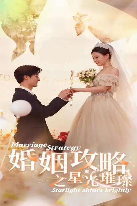 《婚姻攻略之星光璀璨》封面