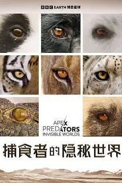 《捕食者的隐秘世界》封面