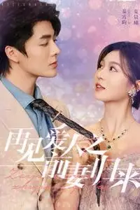 《再见爱人之前妻归来》封面