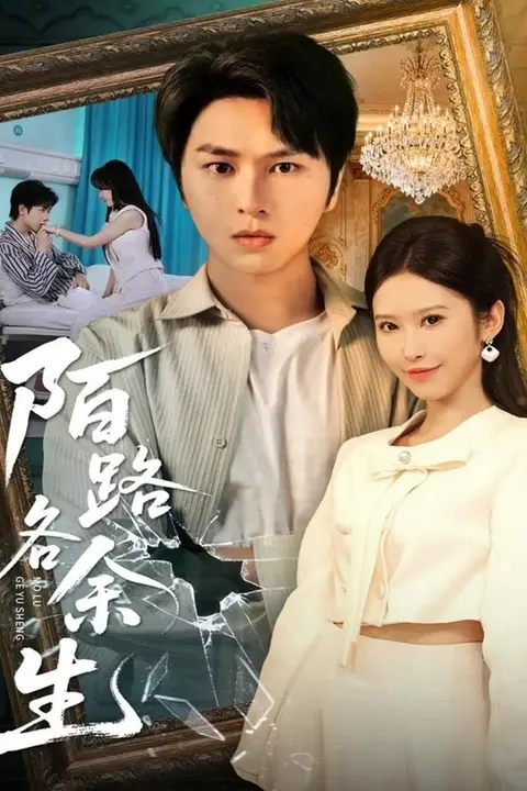 《陌路各余生》封面