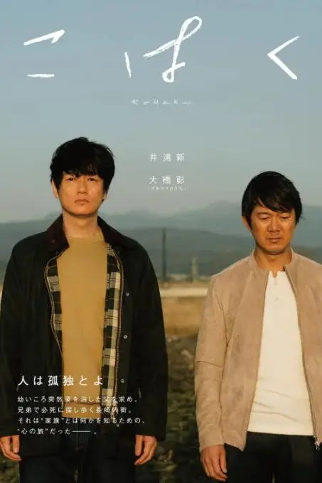 《琥珀》封面