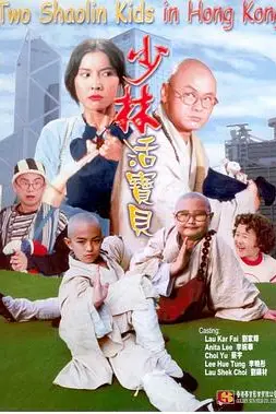 《少林活宝贝》封面