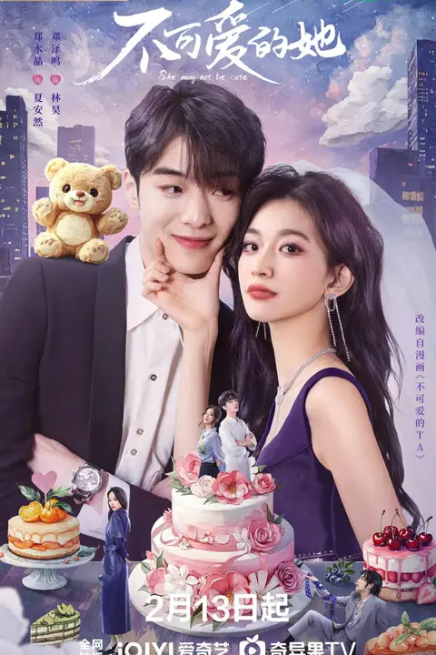 《不可爱的她》封面