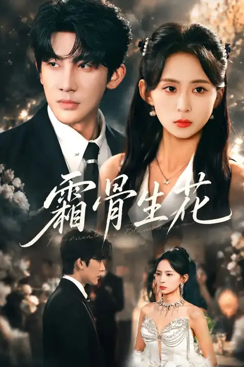 《霜骨生花》封面