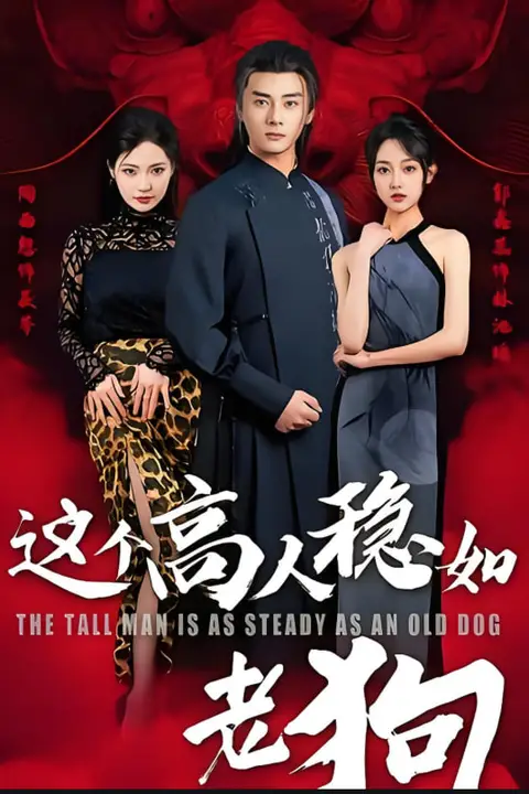 《这个高人稳如老狗(这个高手稳如老狗)》封面