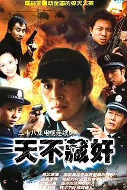 《天不藏奸》封面