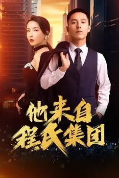 《他来自程氏集团》封面