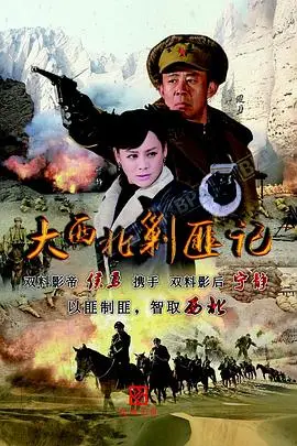 《大西北剿匪记》封面