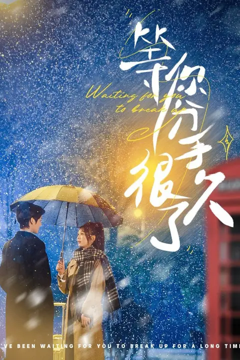 《等你分手很久了》封面