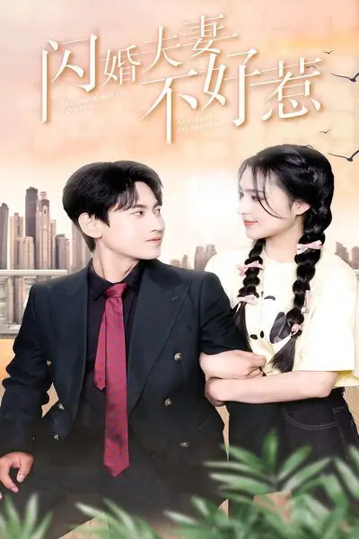《闪婚夫妻不好惹》封面